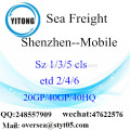 Flete mar del puerto de Shenzhen en celular.